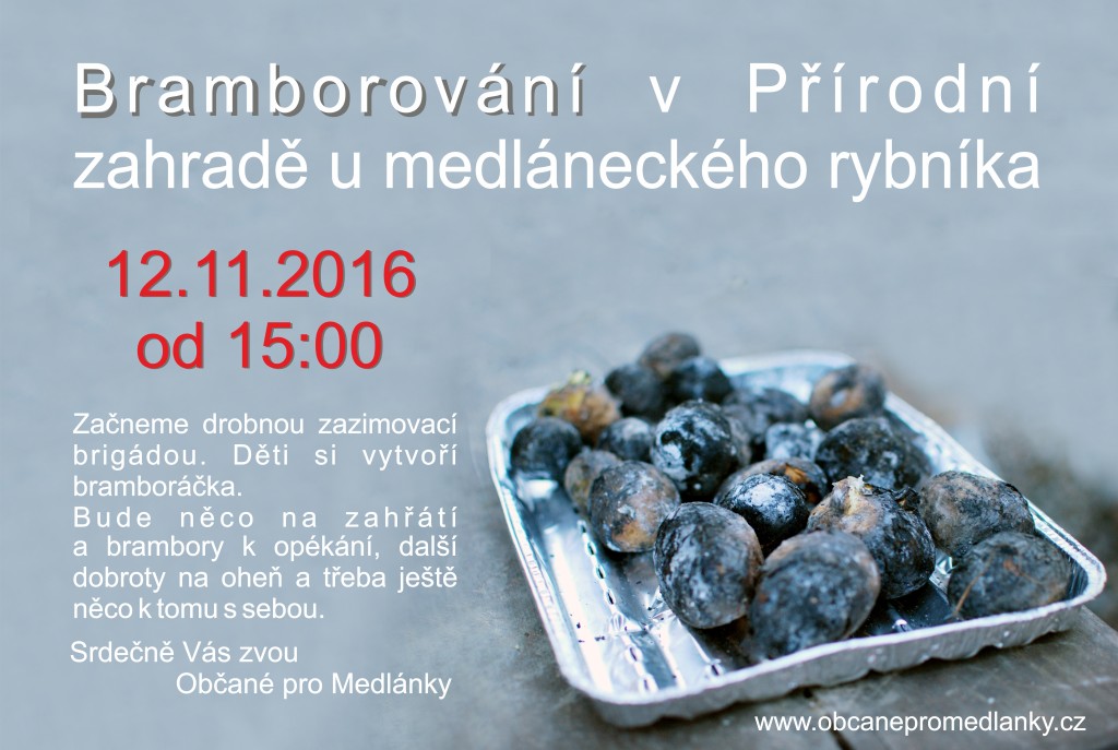 brambory2016