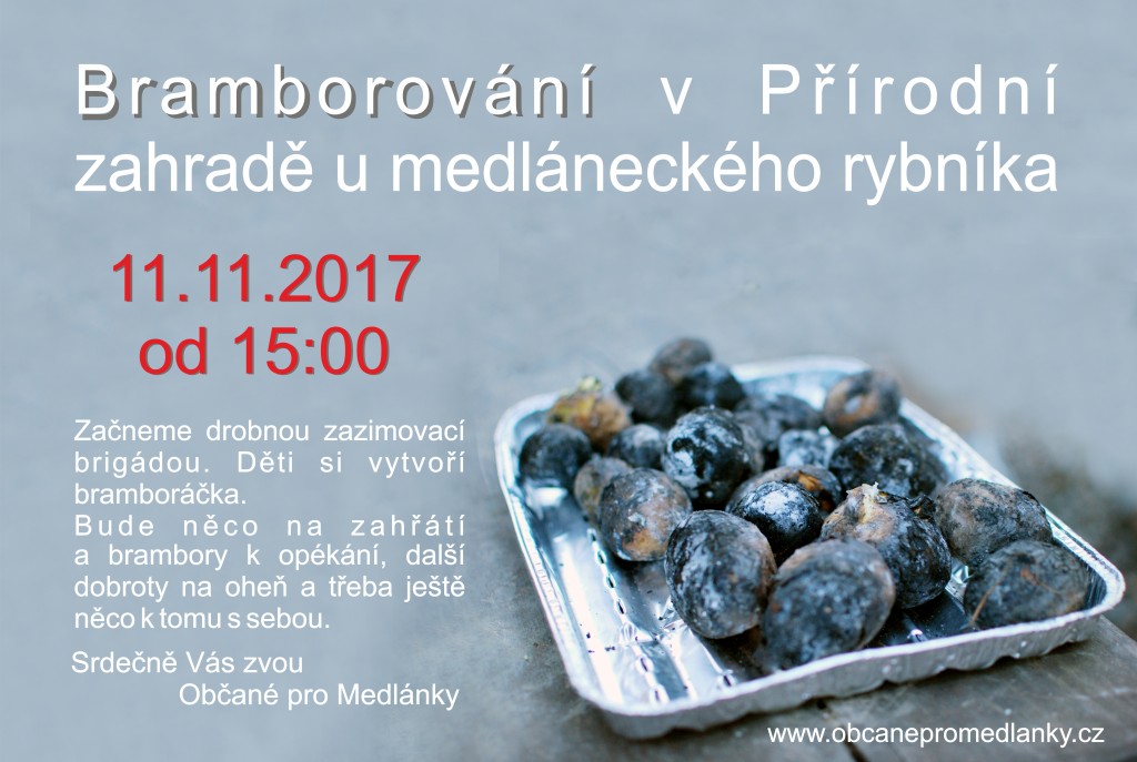 brambory2017