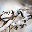 Rádi bychom poděkovali Vám všem za přízeň, kterou jste nám v loňském roce prokázali, a těšíme se na setkání v roce novém. Za celoroční spolupráci na našich projektech děkujeme všem […]